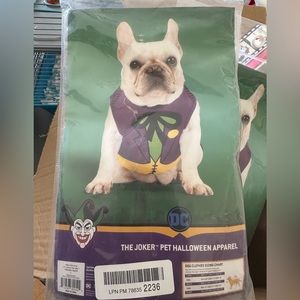 Large dog joker costume!